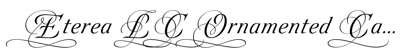 Eterea LC Ornamented Caps Italic image